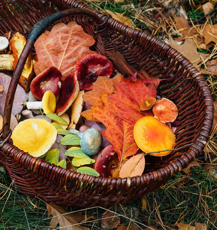 Into the Woods - Mushroom Workshop
